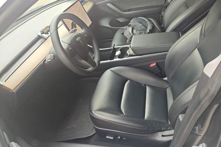 Used Tesla Model 3 2019 Standard Range Rear-Drive Upgraded Version Left Front Seat