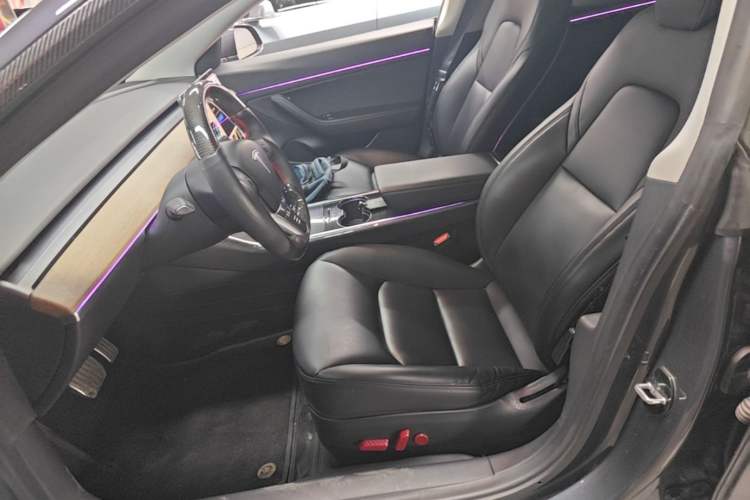 Used Tesla Model 3 2019 Standard Range Rear-Drive Upgraded Version Left Front Seat