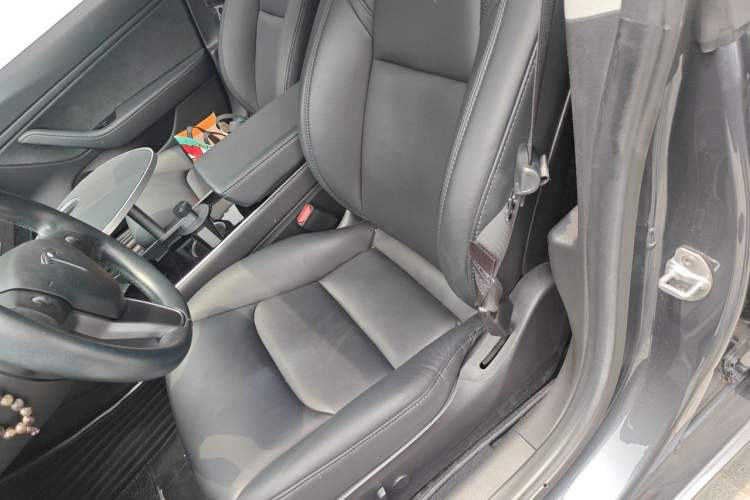 Used Tesla Model 3 2019 Long-Range All-Wheel-Drive Version Left Front Seat