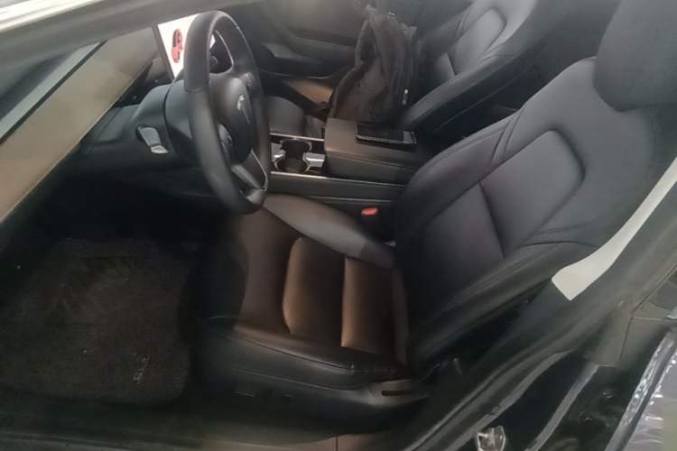 Used Tesla Model 3 2019 Standard Range Rear-Drive Upgraded Version Left Front Seat