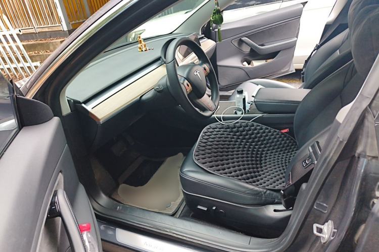 Used Tesla Model 3 2019 Long-Range All-Wheel-Drive Version Left Front Seat