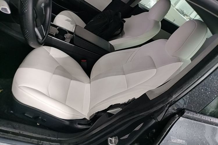 Used Tesla Model 3 2019 Standard Range Rear-Drive Upgraded Version Left Front Seat