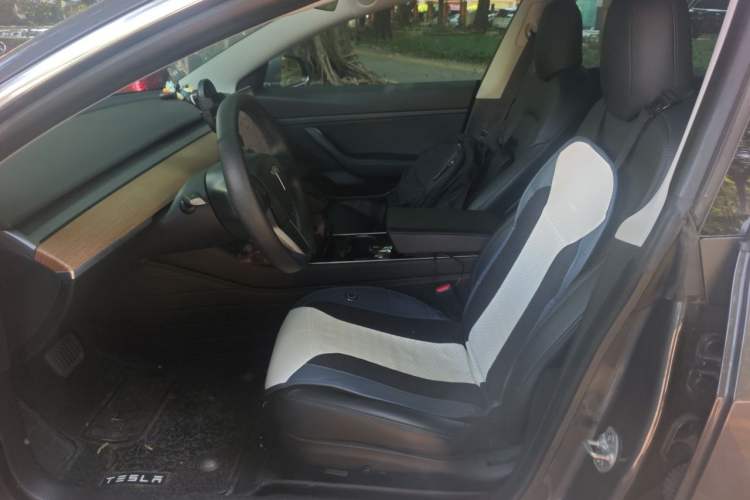 Used Tesla Model 3 2019 Standard Range Rear-Drive Upgraded Version Left Front Seat