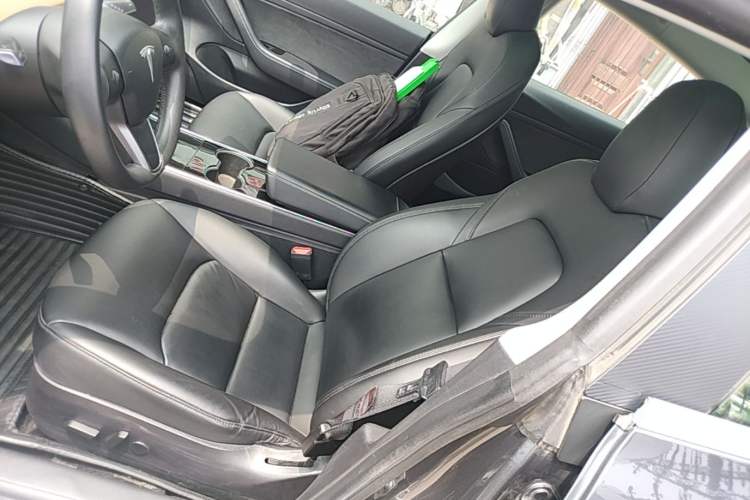 Used Tesla Model 3 2019 Standard Range Rear-Drive Upgraded Version Left Front Seat