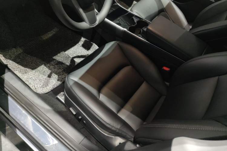 Used Tesla Model 3 2019 Standard Range Rear-Drive Upgraded Version Left Front Seat