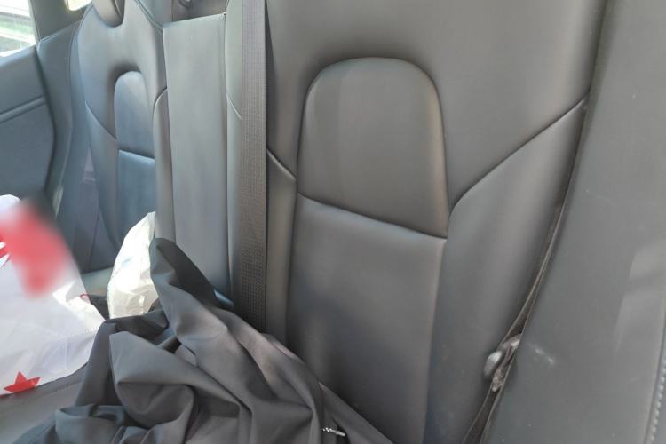 Used Tesla Model 3 2019 Long-Range Rear-Wheel-Drive Version Left Rear Seat