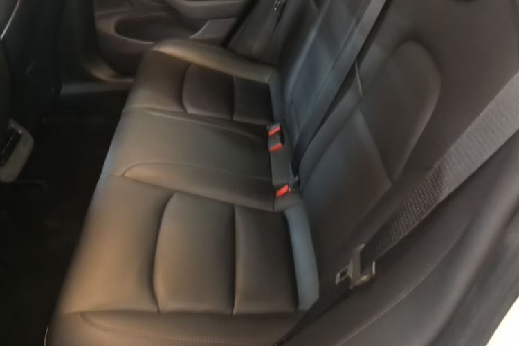 Used Tesla Model 3 2019 Long-Range Rear-Wheel-Drive Version Left Rear Seat