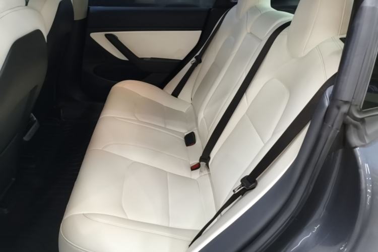 Used Tesla Model 3 2019 Performance High-Performance All-Wheel-Drive Version Left Rear Seat