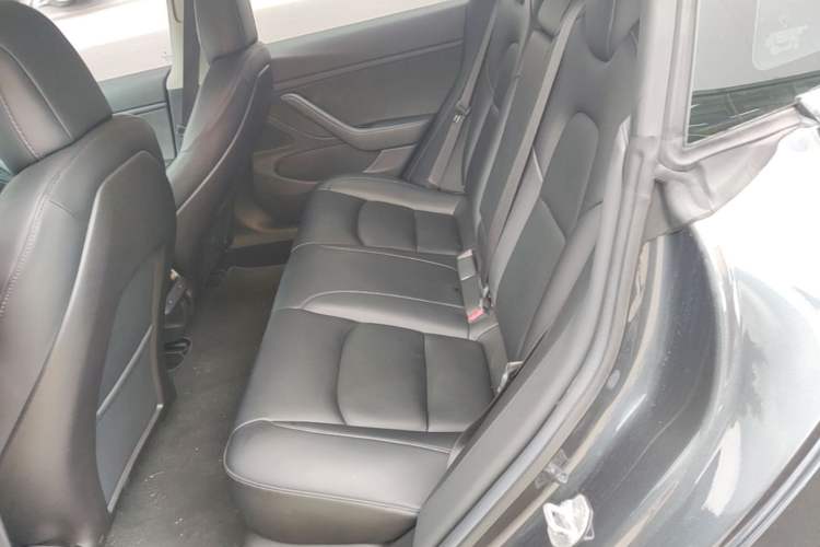 Used Tesla Model 3 2019 Long-Range Rear-Wheel-Drive Version Left Rear Seat