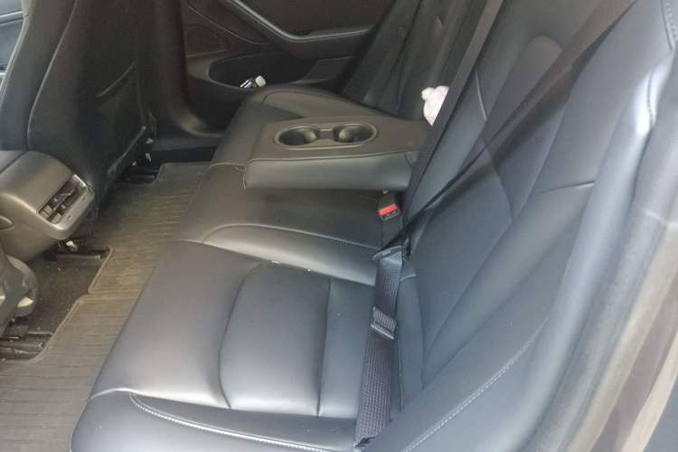 Used Tesla Model 3 2019 Standard Range Rear-Drive Upgraded Version Left Rear Seat