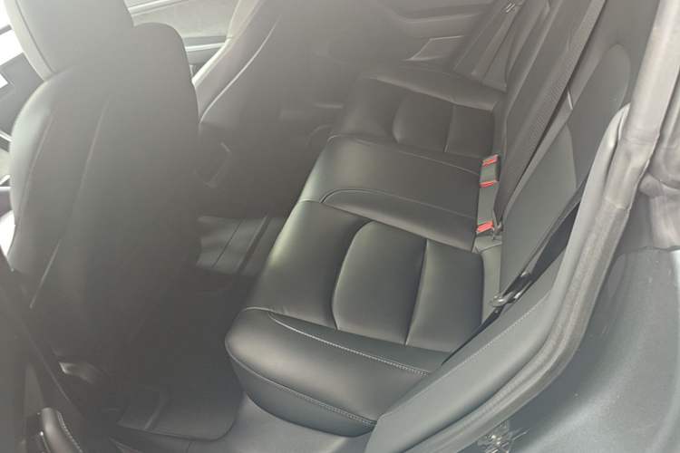 Used Tesla Model 3 2019 Standard Range Rear-Drive Upgraded Version Left Rear Seat