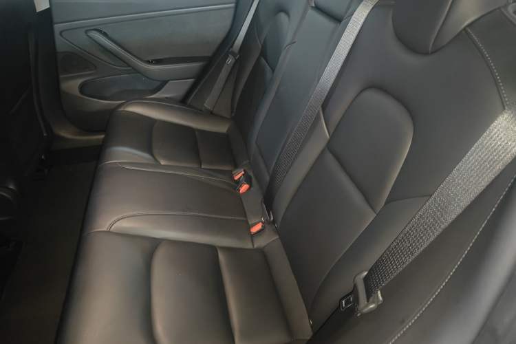 Used Tesla Model 3 2019 Long-Range Rear-Wheel-Drive Version Left Rear Seat