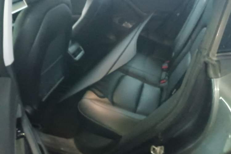 Used Tesla Model 3 2019 Performance High-Performance All-Wheel-Drive Version Left Rear Seat