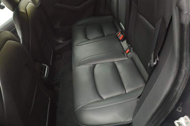 Used Tesla Model 3 2019 Long-Range Rear-Wheel-Drive Version Left Rear Seat