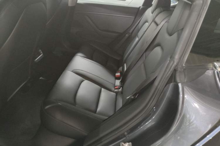 Used Tesla Model 3 2019 Long-Range Rear-Wheel-Drive Version Left Rear Seat