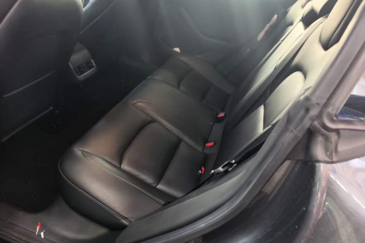 Used Tesla Model 3 2019 Long-Range Rear-Wheel-Drive Version Left Rear Seat