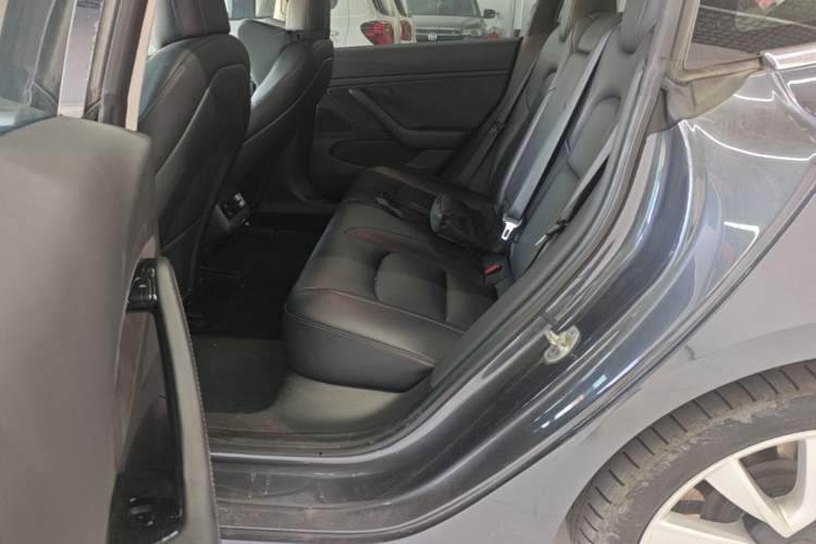 Used Tesla Model 3 2019 Long-Range All-Wheel-Drive Version Left Rear Seat