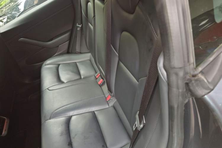 Used Tesla Model 3 2019 Long-Range Rear-Wheel-Drive Version Left Rear Seat