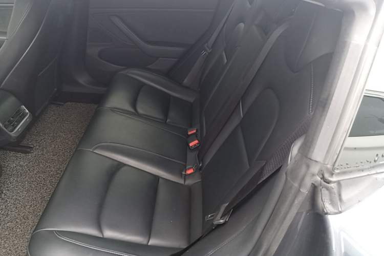 Used Tesla Model 3 2019 Long-Range Rear-Wheel-Drive Version Left Rear Seat