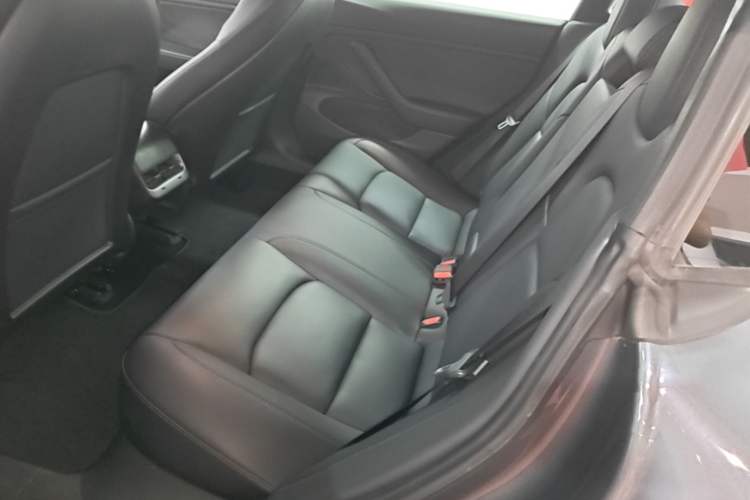 Used Tesla Model 3 2019 Performance High-Performance All-Wheel-Drive Version Left Rear Seat