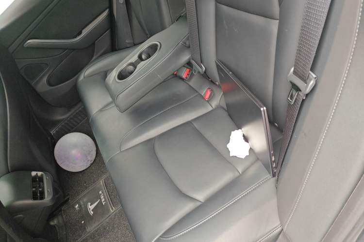 Used Tesla Model 3 2019 Long-Range All-Wheel-Drive Version Left Rear Seat