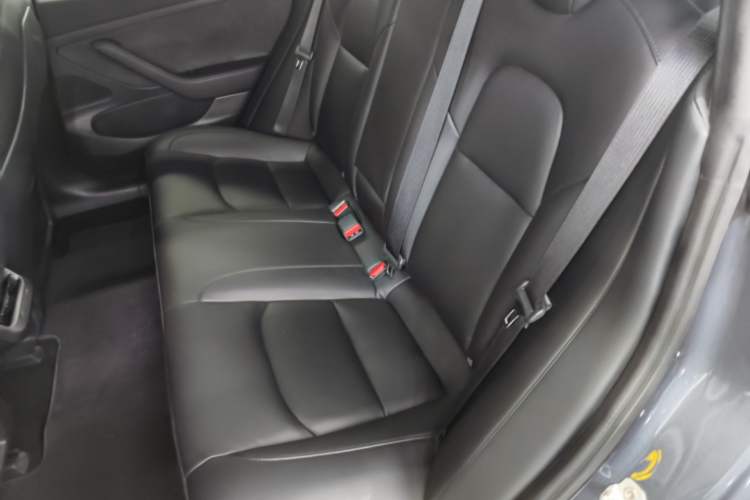 Used Tesla Model 3 2019 Standard Range Rear-Drive Upgraded Version Left Rear Seat