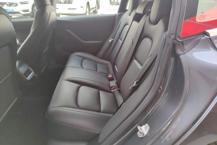 Used Tesla Model 3 2019 Long-Range All-Wheel-Drive Version Left Rear Seat