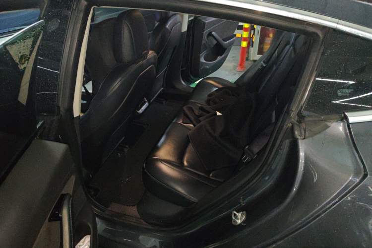 Used Tesla Model 3 2019 Long-Range Rear-Wheel-Drive Version Left Rear Seat
