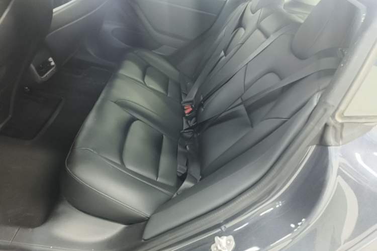 Used Tesla Model 3 2019 Standard Range Rear-Drive Upgraded Version Left Rear Seat