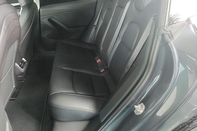 Used Tesla Model 3 2019 Long-Range All-Wheel-Drive Version Left Rear Seat