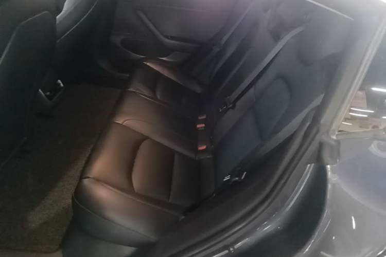 Used Tesla Model 3 2019 Standard Range Rear-Drive Upgraded Version Left Rear Seat