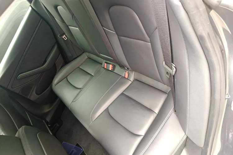 Used Tesla Model 3 2019 Long-Range Rear-Wheel-Drive Version Left Rear Seat