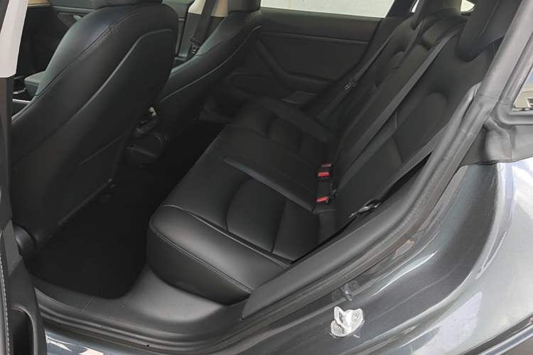 Used Tesla Model 3 2019 Standard Range Rear-Drive Upgraded Version Left Rear Seat