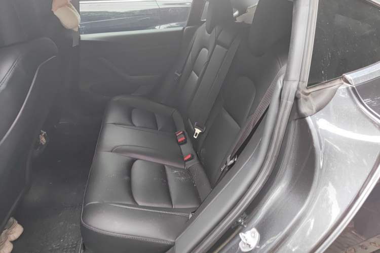 Used Tesla Model 3 2019 Standard Range Rear-Drive Upgraded Version Left Rear Seat