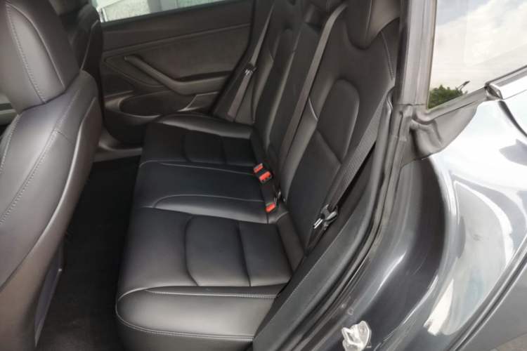 Used Tesla Model 3 2019 Long-Range All-Wheel-Drive Version Left Rear Seat