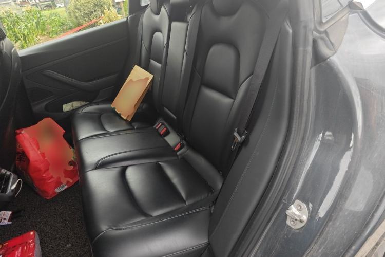 Used Tesla Model 3 2019 Standard Range Rear-Drive Upgraded Version Left Rear Seat