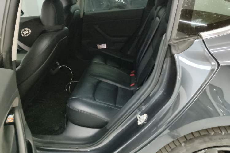 Used Tesla Model 3 2019 Long-Range Rear-Wheel-Drive Version Left Rear Seat