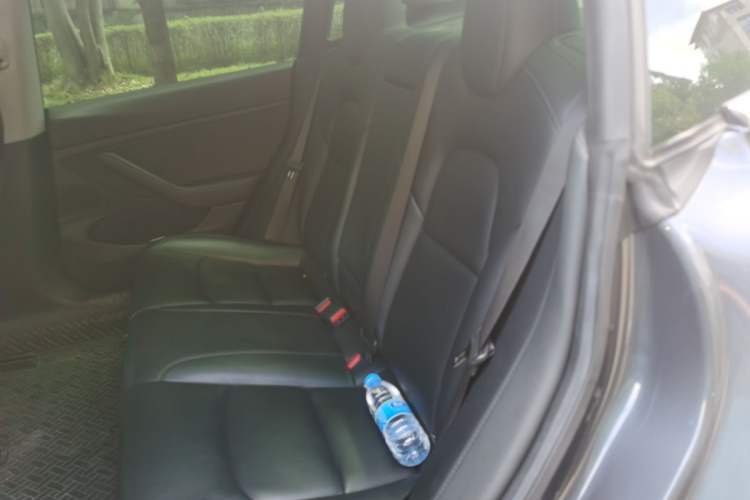 Used Tesla Model 3 2019 Long-Range Rear-Wheel-Drive Version Left Rear Seat
