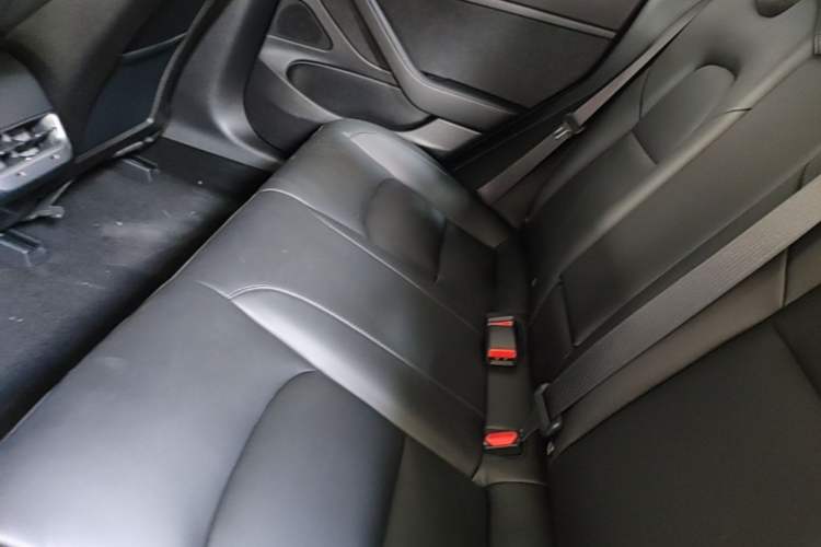 Used Tesla Model 3 2019 Standard Range Rear-Drive Upgraded Version Left Rear Seat