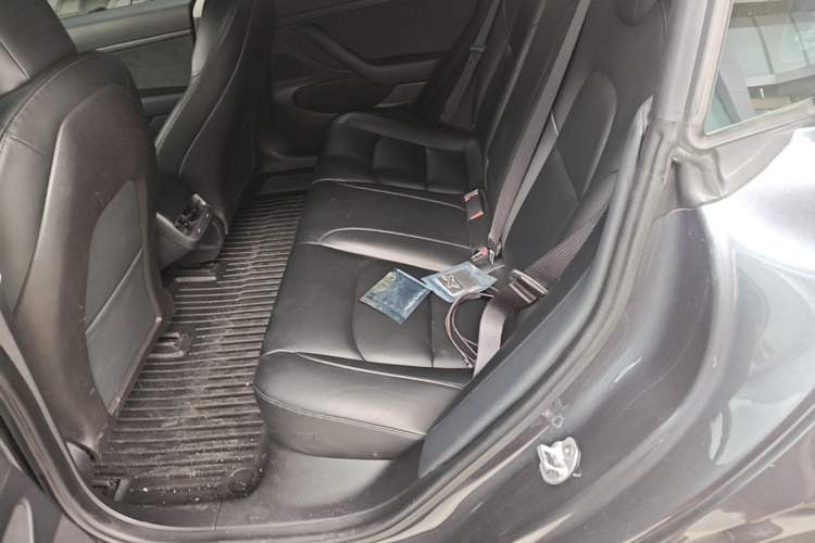 Used Tesla Model 3 2019 Standard Range Rear-Drive Upgraded Version Left Rear Seat