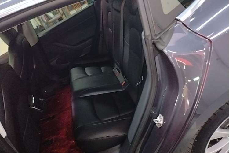 Used Tesla Model 3 2019 Standard Range Rear-Drive Upgraded Version Left Rear Seat