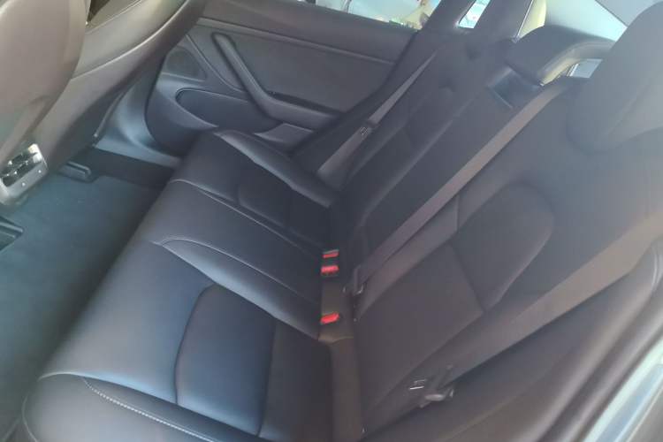 Used Tesla Model 3 2019 Long-Range All-Wheel-Drive Version Left Rear Seat