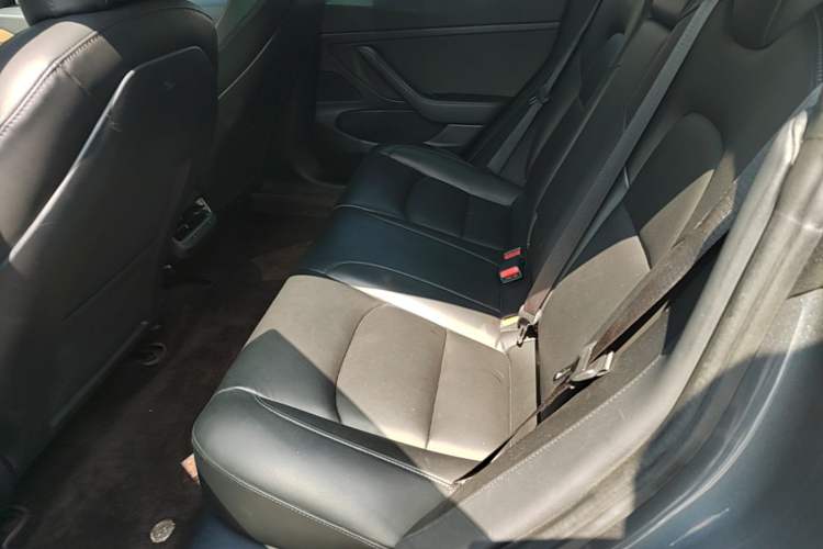 Used Tesla Model 3 2019 Standard Range Rear-Drive Upgraded Version Left Rear Seat