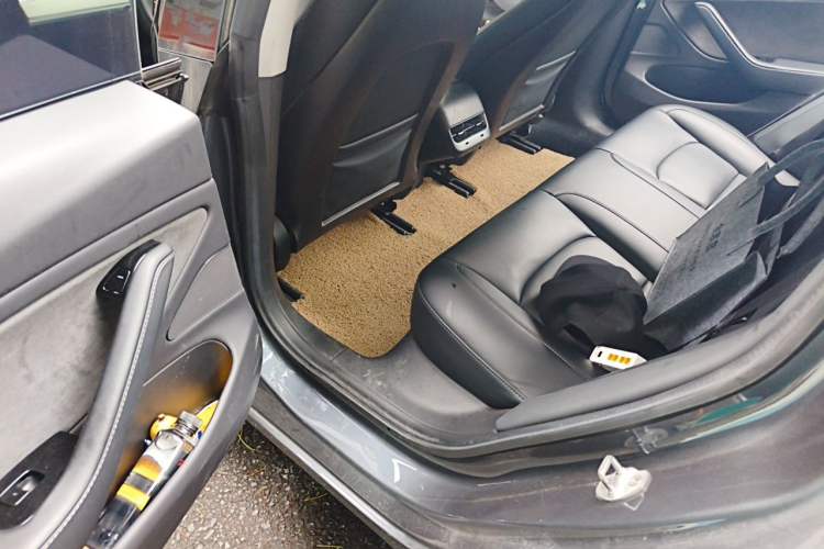 Used Tesla Model 3 2019 Long-Range All-Wheel-Drive Version Left Rear Seat