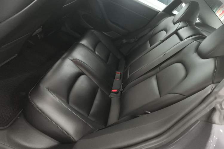 Used Tesla Model 3 2019 Standard Range Rear-Drive Upgraded Version Left Rear Seat