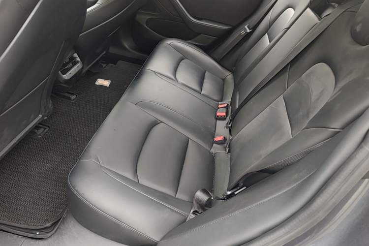 Used Tesla Model 3 2019 Standard Range Rear-Drive Upgraded Version Left Rear Seat