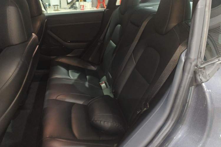 Used Tesla Model 3 2019 Standard Range Rear-Drive Upgraded Version Left Rear Seat