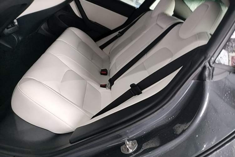 Used Tesla Model 3 2019 Standard Range Rear-Drive Upgraded Version Left Rear Seat