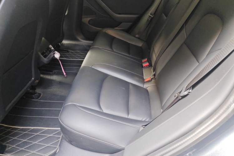 Used Tesla Model 3 2019 Standard Range Rear-Drive Upgraded Version Left Rear Seat