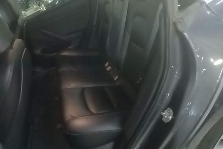 Used Tesla Model 3 2019 Standard Range Rear-Drive Upgraded Version Left Rear Seat
